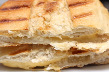 toasted bread with cheese. hot cheese sandwich.