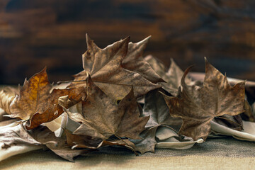 A bunch of fallen tree leaves.