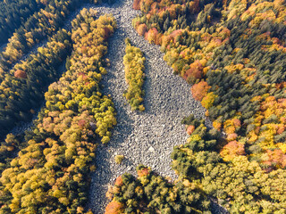 Aerial Autumn view of Vitosha Mountain, Bulgaria