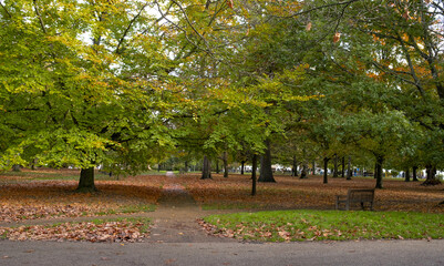 Autumn colours in the Grove, one of the oldest public parks in the town of Royal Tunbridge Wells, Kent