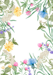 Fototapeta na wymiar Watercolor floral frame with wildflowers