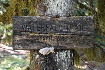 Sahalie Koosah Tamolitch falls hiking trail on McKenzie river, Williamette National Forest, Cascade Mountains, Oregon.