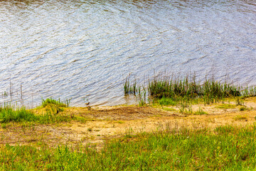 Beautiful river stream pond and lake nature forest in Germany.