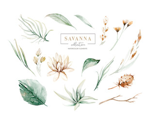 Set watercolor elements of savanna gold flowers collection garden red, burgundy flower, leaves, branches, Botanic illustration isolated on white background