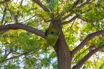 Green wooden birdhouse hanging on the tree