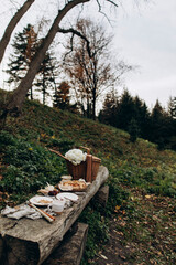 picnic on a wooden bench in the forest. picnic with a hot drink in a thermos on a cold day in the park.