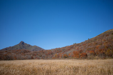 日本の鳥取県大山の美しい秋の風景