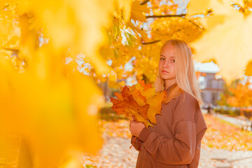 a teenage girl holding yellow autumn leaves against the background of yellow autumn trees