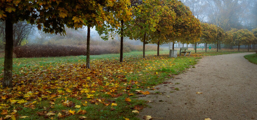 szpaler drzew jesienią i ścieżka w parku © rpetryk