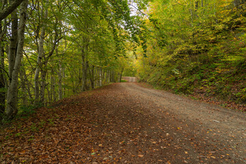 Pedestrian route from Soto de Sajambre to the Vegabano mountain refuge in the Picos de Europa National Park in Spain