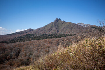 日本の鳥取県大山のとても美しい秋の風景