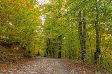 Pedestrian route from Soto de Sajambre to the Vegabano mountain refuge in the Picos de Europa...