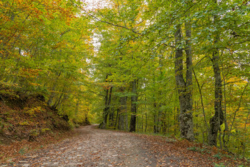 Pedestrian route from Soto de Sajambre to the Vegabano mountain refuge in the Picos de Europa National Park in Spain