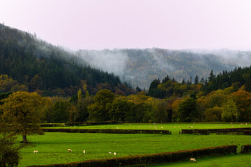 Autumn trees and valleys, Wales, United Kingdom