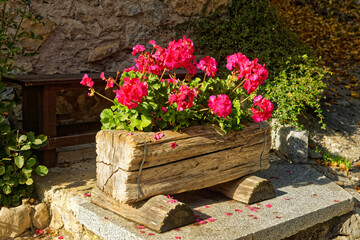 Fototapeta na wymiar Wooden flower pot in Irone, medieval Alpine village in Trentino, Italy, a touristic destination seen on a sunny autumn day