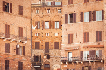 old house facades of Siena, Italy