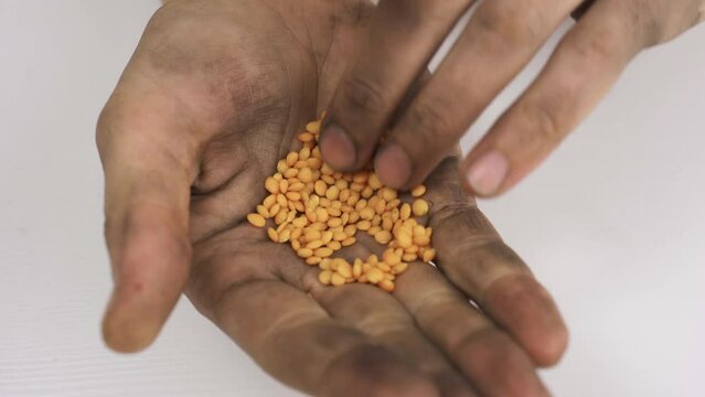 Dirty hands showing off his leftover food as a result of the food crisis.
Food scarcity and poverty. Dirty hands holding lentils and moldy bread.
