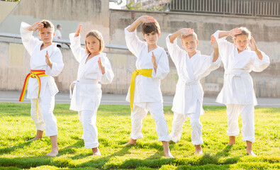 Group of kids in white kimono training outdoors on green grass.