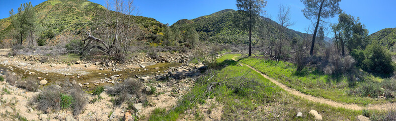 Fototapeta na wymiar Manzana Creek, San Rafael Wilderness, Los Padres National Forest