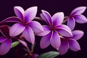 Purple Frangipani Flowers, Made by AI, Artificial Intelligence