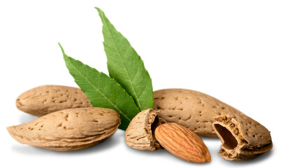 Almond nuts isolated almonds food seeds kernels snack