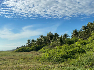 Beach landscape in El Salvador