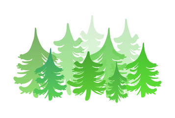 Silhouettes of spruce and pine. Vector image of coniferous trees isolated on white background.