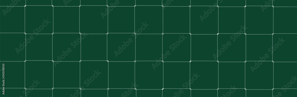 Wall mural net texture pattern on green background. net texture pattern for backdrop and wallpaper. realistic n