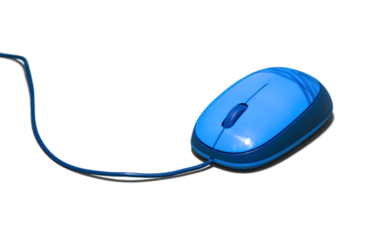 Computer Mouse