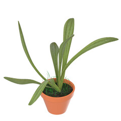3d rendering illustration of a potted plant