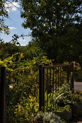 Ein Stillleben bei Ruhla.