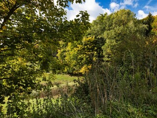 Ein Flurabschnitt bei Ruhla.