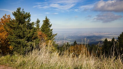 Der Blick zu einem nahen Windpark beim Inselsberg.