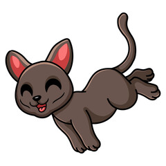 Cute korat cat cartoon jumping