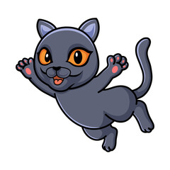 Cute british shorthair cat cartoon flying