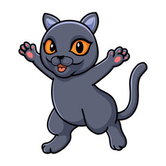 Obraz na płótnie Canvas Cute british shorthair cat cartoon