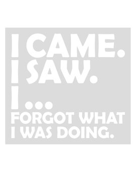 I came saw forget 