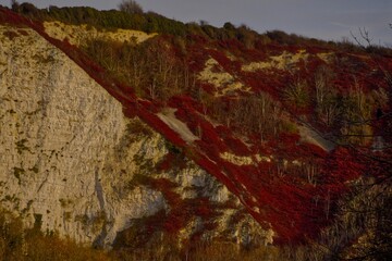 White cliff covered in velvet red foliage in Lewes, East Sussex, England © Lee Robert Burkill/Wirestock Creators