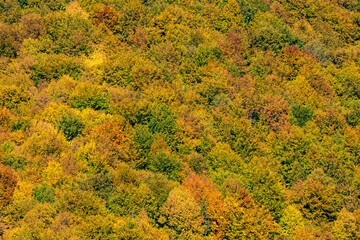 autumn in the mountains
