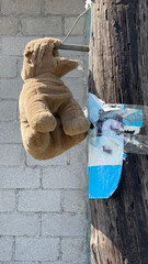 Teddy Bear wasted strung up on pole