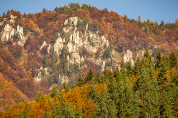 autumn in the mountains