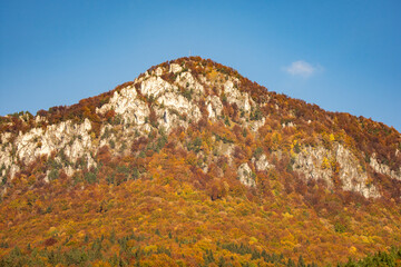 autumn in the mountain, Sip
