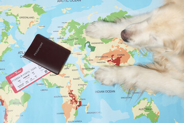 Golden retriever lying near passport and ticket on world map, top view. Travelling with pet