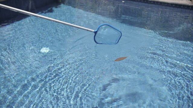 Hoop-Net Images – Browse 385 Stock Photos, Vectors, and Video | Adobe Stock