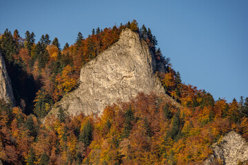 autumn in the mountains