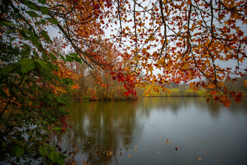 Fall Colors in Arkansas