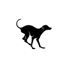 Silhouette Azawakh dog vector illustration design. Silhouette dog