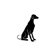 Silhouette Azawakh dog vector illustration design. Silhouette dog