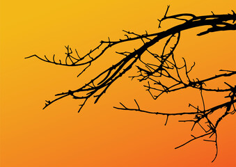 Fototapeta na wymiar Tree branches silhouette sunset.silhouette tree and sunset sky.Tree branches silhouette on background.