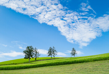 北海道、美瑛の美しい旧マイルドセブンの丘の風景